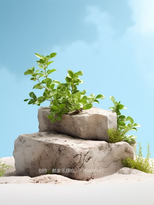 AI賦能電商視覺(jué) 麥秸畫(huà)與石景草木的融合新生